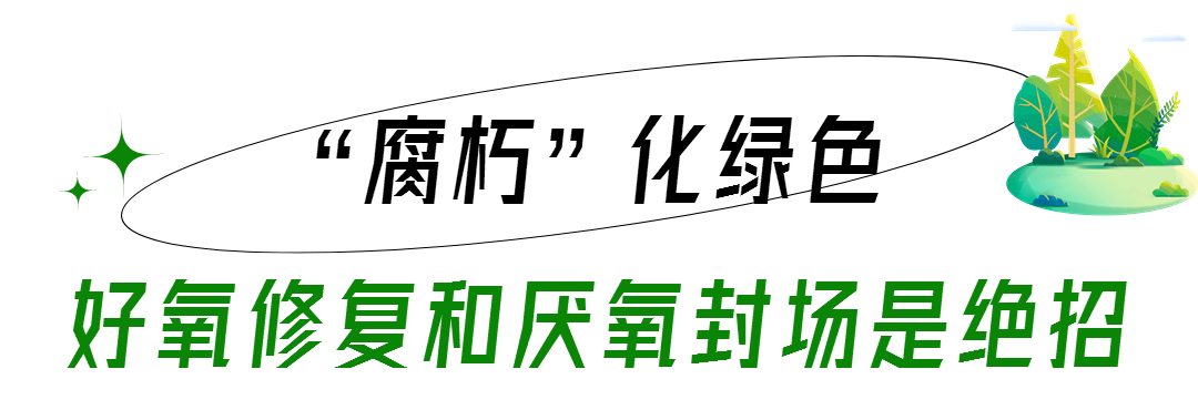 640 (4).png