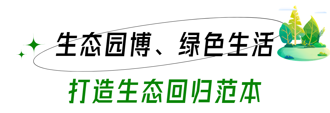 640 (6).png