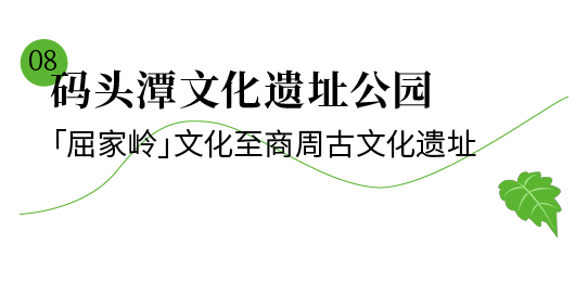 640 (14).png