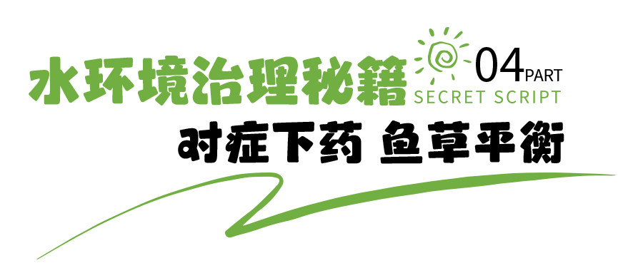 640 (10).png