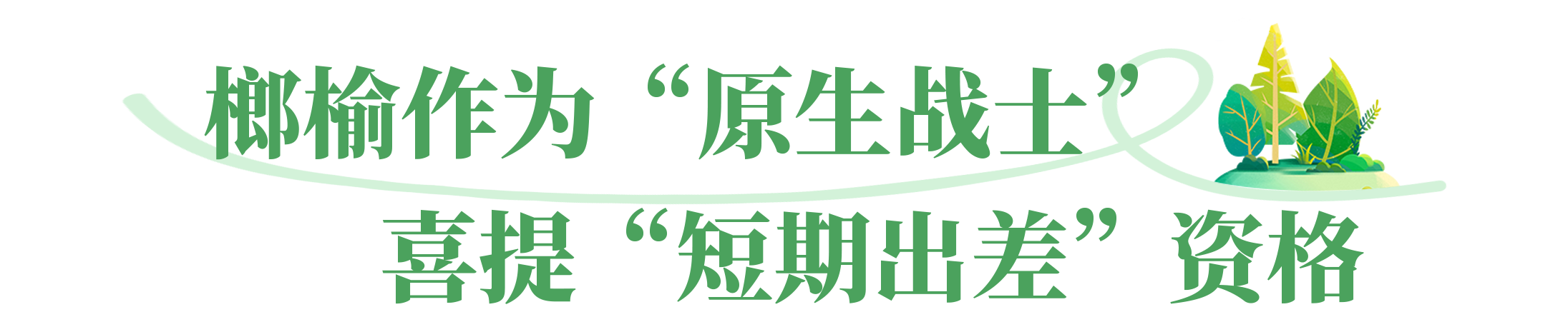 05.png