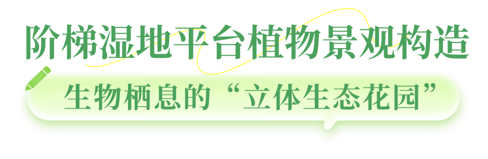 04.png