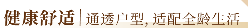 13.png