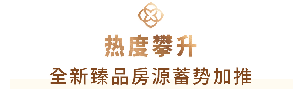02.png 02.png